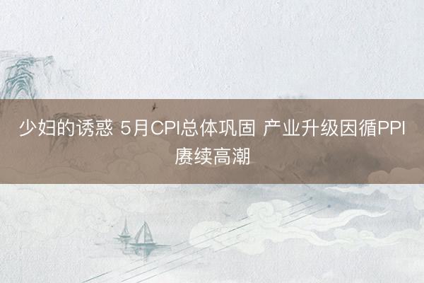 少妇的诱惑 5月CPI总体巩固 产业升级因循PPI赓续高潮