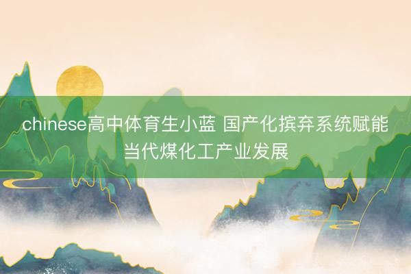 chinese高中体育生小蓝 国产化摈弃系统赋能当代煤化工产业发展